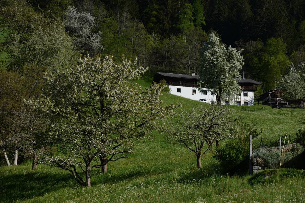 Pension Tina Нойштифт-им-Штубайталь Экстерьер фото